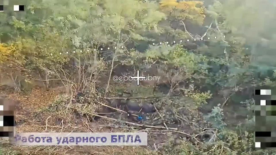 Евгений Поддубный: Раритетный шведский танк Strv 103 подбили спешелы "Анвара" в Сумском приграничье