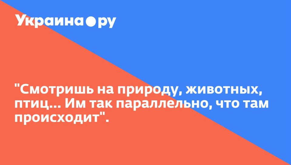 &quot;  , , ...   ,   &quot;.