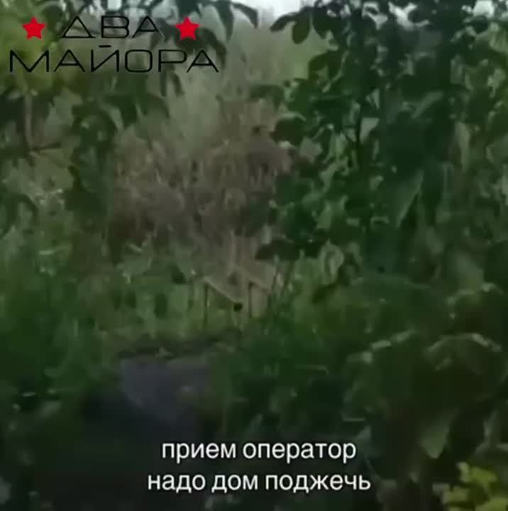  :  .    ,    ,     