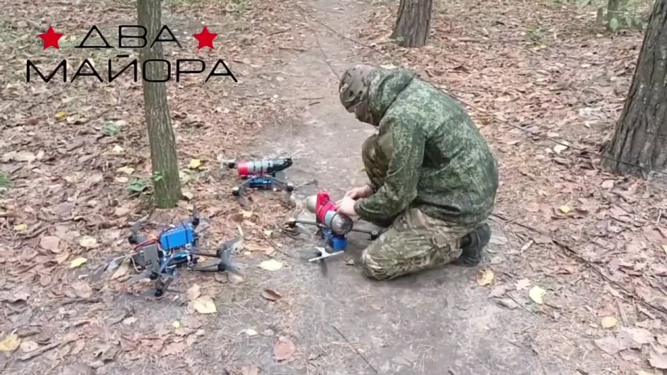  :  .    ,    ,     