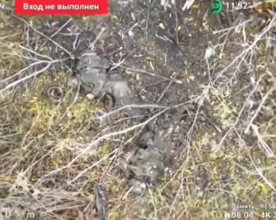  :  .   