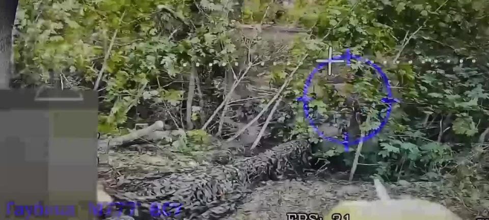    777    @warriorofnorth