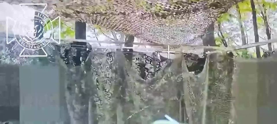    FPV-       ,  Telegram-  