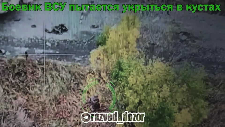  FPV  &quot;&quot;           ..   