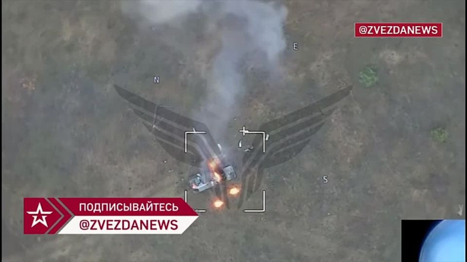        ,     VAMPIRE         &quot;&quot;