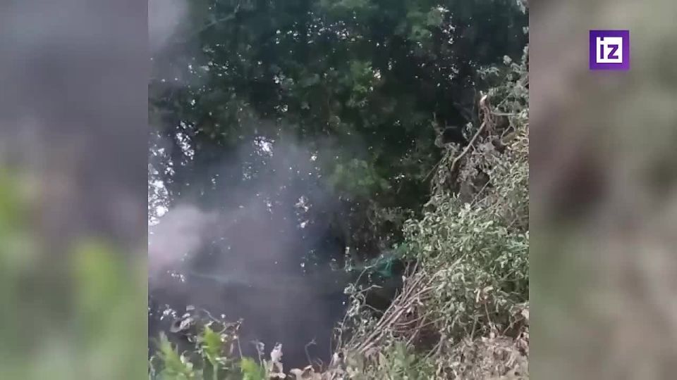    &quot;&quot; 30-     &quot;&quot;      ,    