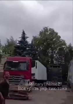 Утренняя Герань летит желать доброго утра жителям Сум