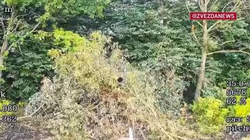 Целую колонну боевиков в Сумской области догнал наш FPV-дрон