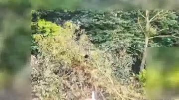 Евгений Поддубный: Поездка в один конец. Сумское приграничье