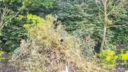    FPV- 56-  -     