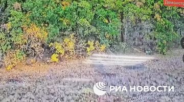 Бои в Сумской области: Российские дроноводы уничтожают боевиков украинских ССО