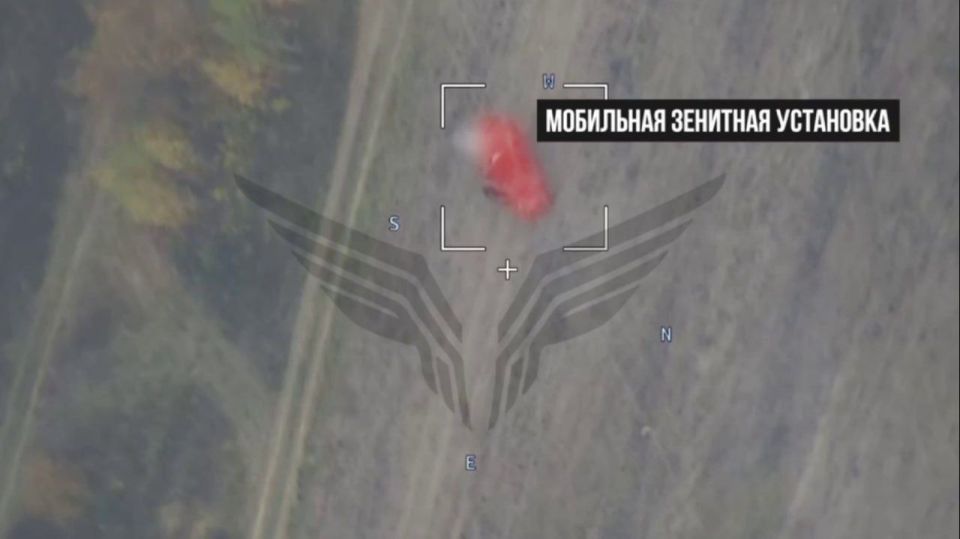     &quot;&quot;       &quot;&quot;            Peugeot P4