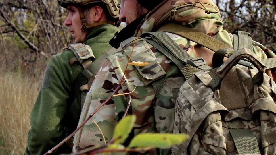 Украинские уклонисты дали взятки на сумму два млрд евро – депутат ВР Разумков