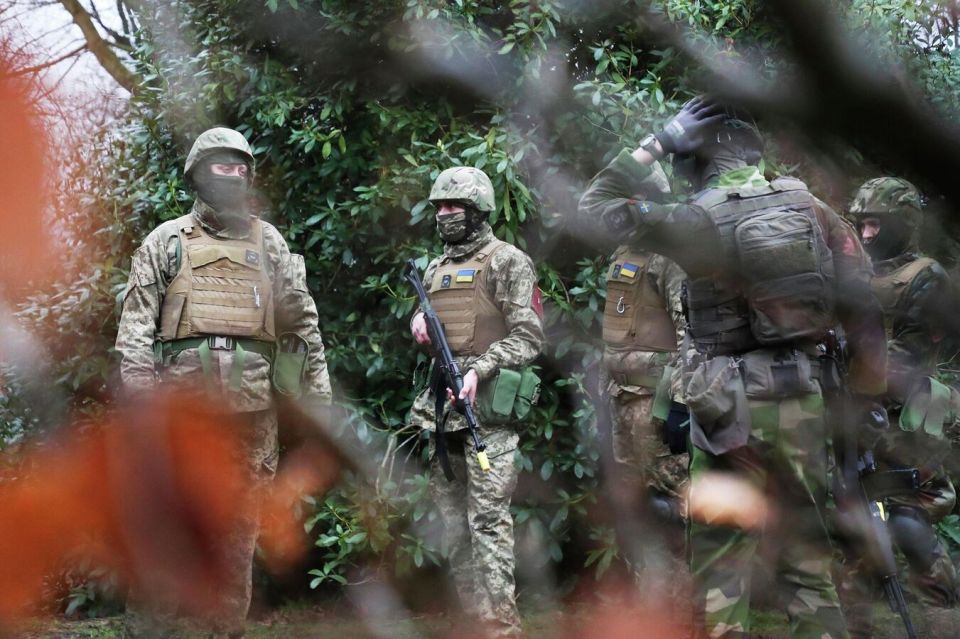 ВСУ из-за нехватки пехоты перебросили на Сумское направление батальон БПЛА