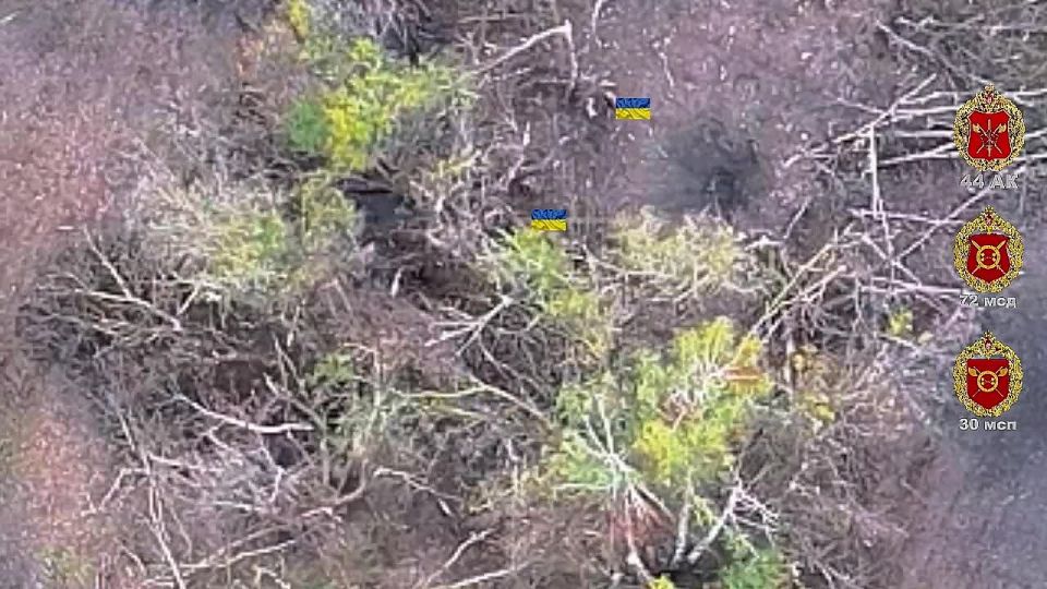  .     30  44         -       