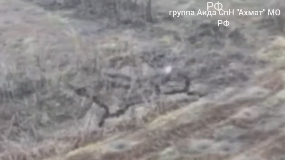 Рамзан Кадыров: Сумская область. Методичная работа дроноводов из отряда «Аида» легендарного спецназа «АХМАТ» МО РФ @AptiAlaudinovAKHMAT