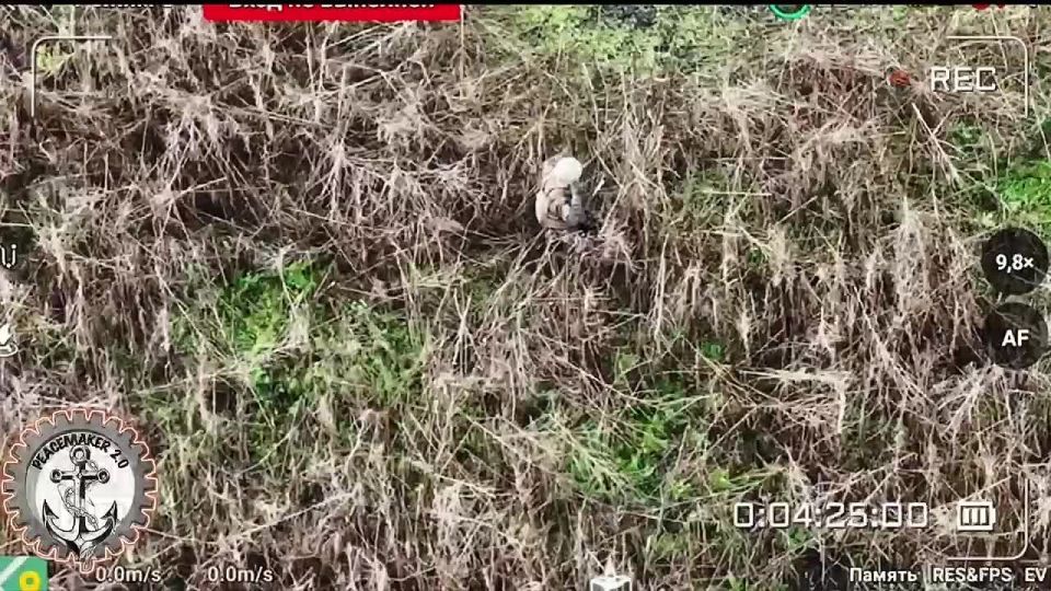 Очередной дефицит жестов доброй воли со стороны морской пехоты ВС РФ. Сумская область