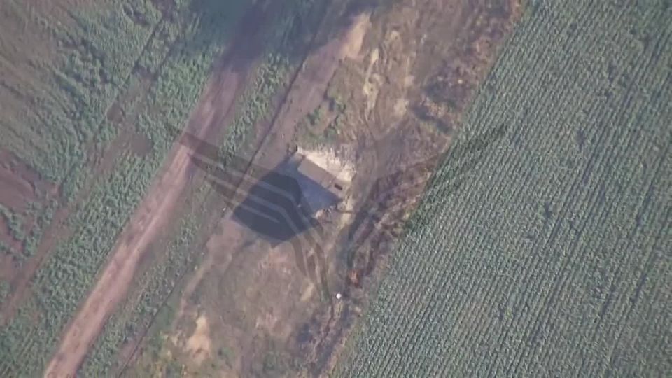  :  . 7   Zala         -18 