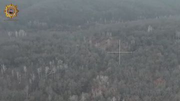 Апти Алаудинов: Подавление живой силы противника в секторе временной дислокации