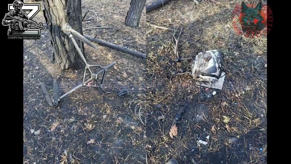 Зачистка блиндажа от боевиков Сумской 117 бригады ТрО на Лиманском направлении