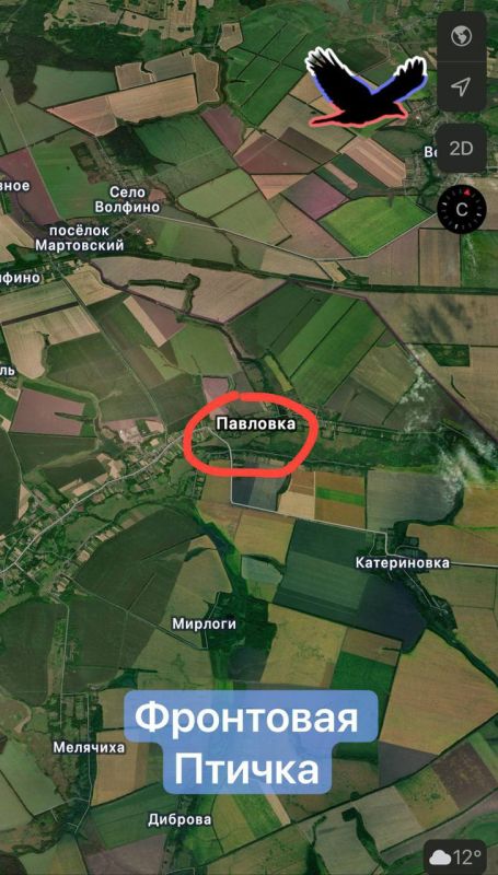 ������� �����������. ����� �.�. ��������