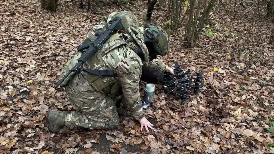 ������ �����: ������� ����� ����������� ������ ����������� ����� ������ ������������ ���������� ����� �� ��������, ������� ������� � ����� ���� ��� � ���� ���������� ��� � ������� �������