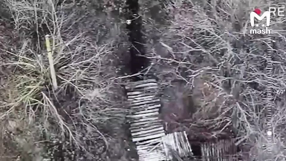 ��� ��������� � ������� ������� ������� ������ �� 10 ����� ������, ����������� �� ������ �������������� � �� ���� ��������� ���������-���������� �����������