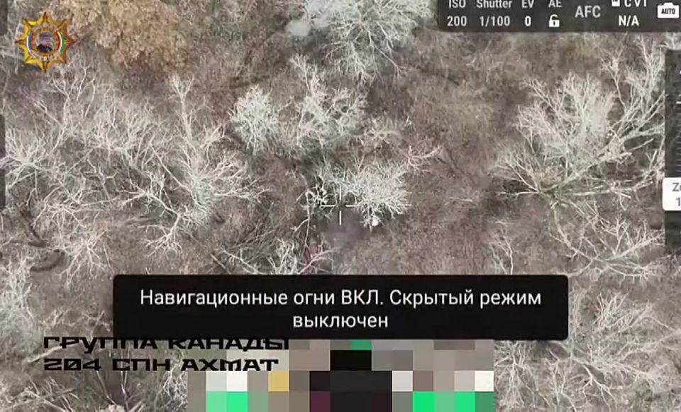 ���� ���������: �������� ����������� ������� ������ �������� ����������� ��� ������������