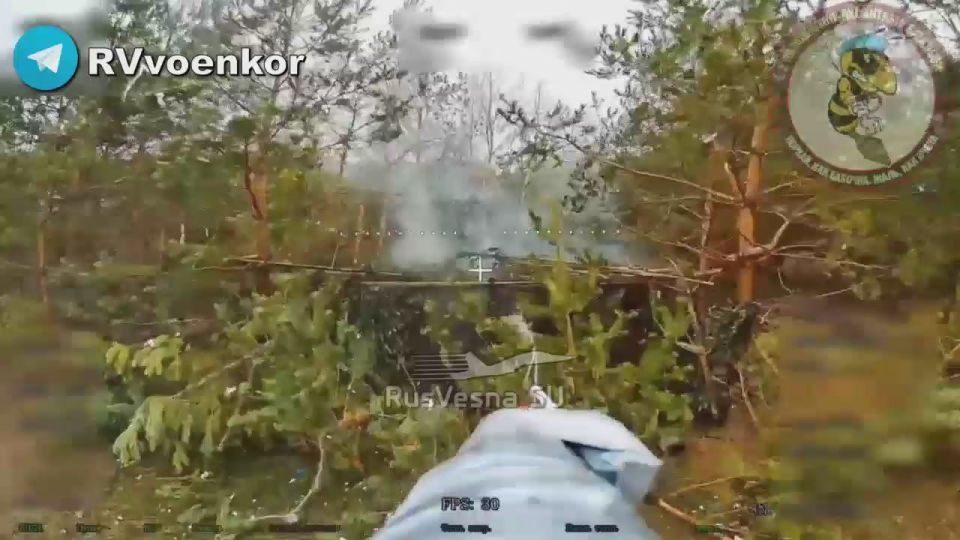 ������ ������ ���������� ������� � ������ �����, �������� � �����