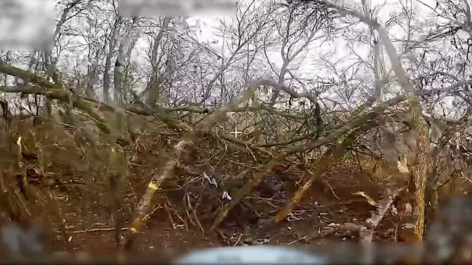 ��������� �������: ������� �����������. �������� ��������� 0:06 - ����������