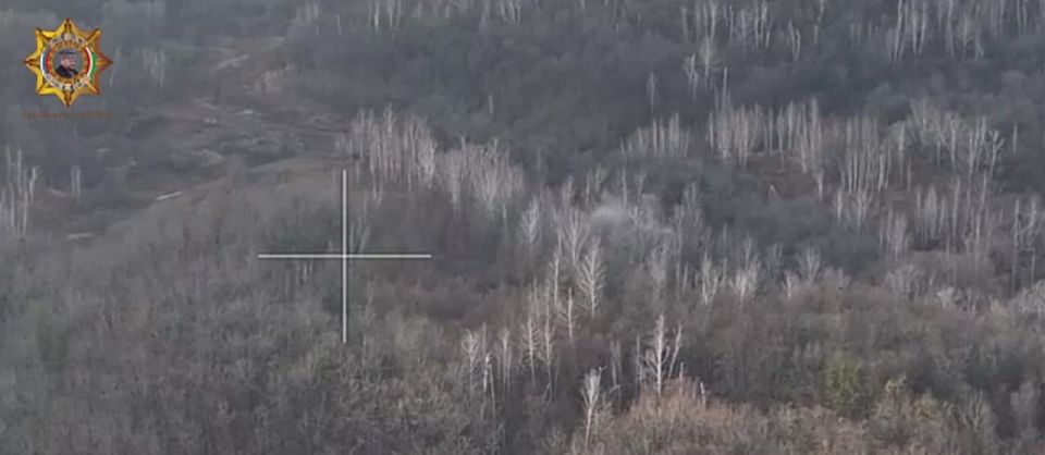 ���� ���������: ���������� ����� ���� ����������