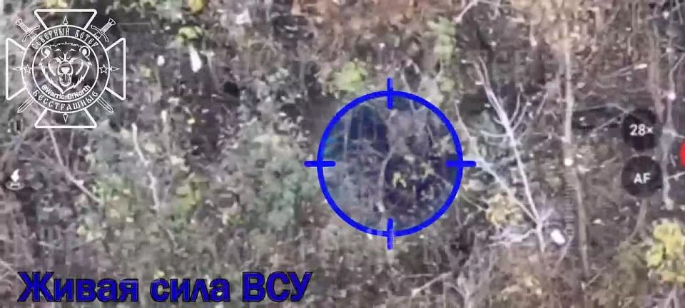 �������� �����������. ����������� �������� ����� ���� ��� � ������� �������