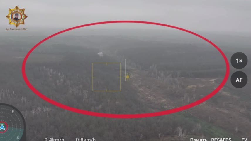 ���� ���������: ��� vs �-30. ���� �����������