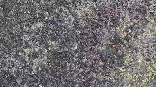 Сергей Зенин: Кадры объективного контроля уничтожения нескольких БпЛА ВСУ в воздухе операторами FPV-дронов войск беспилотных систем в зоне проведения СВО в Сумской области