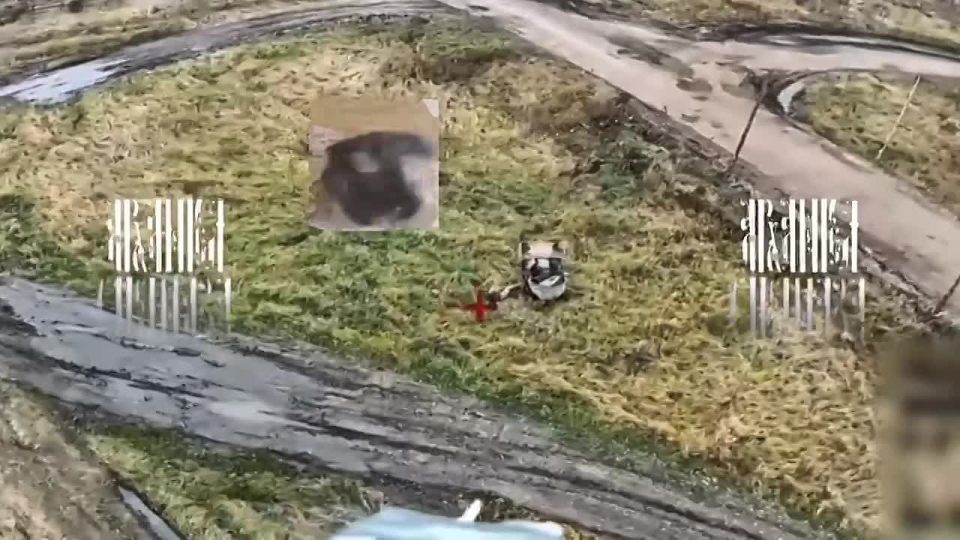 ����� �� �������. ������ ��� ����� �� ����� �����������, ��� ��� ��������� ��� �������