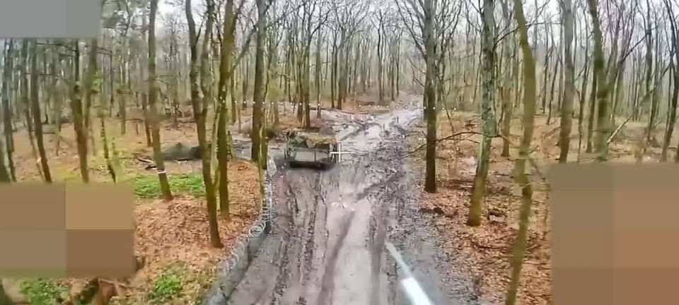 ��������� �������: ���������� ������ ������ ������������ ��� � ������� �������