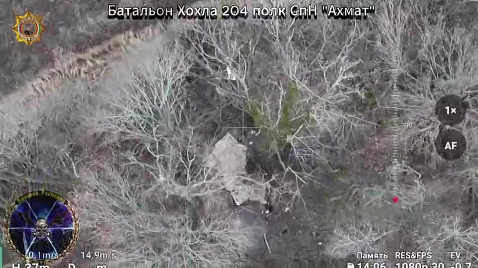 ���� ���������: ����������� ��������������� �������, ������ ����������� �������� � ��������� ��������, ����� ���, ������, ������������ �������, ��� � ������ � ��� ����������