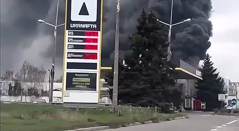 WarGonzo: ����� �� ���������� � ������� ������ �� ����� �/� ���� � �������������