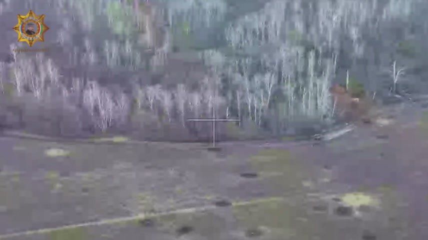 ���� ���������: ����������� ����� ���� ����������