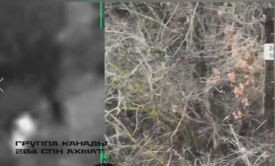 ������ �������: ������� �����������. ����� ����������� ������ ���������