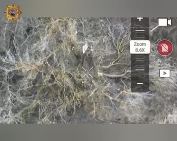 Апти Алаудинов: Уничтожение живой силы противника