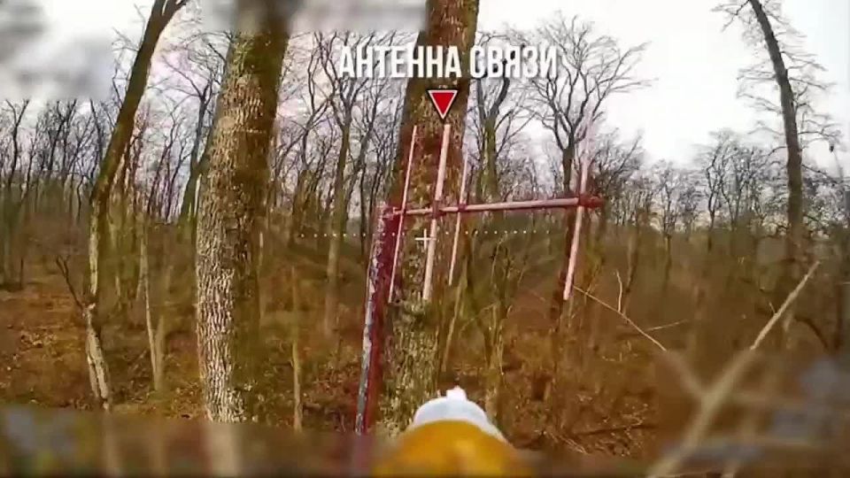 Операторы центра "Рубикон" сокращают поголовье ВСУшников в Сумской области