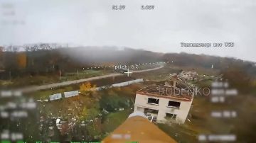  :       FPV-                   ...