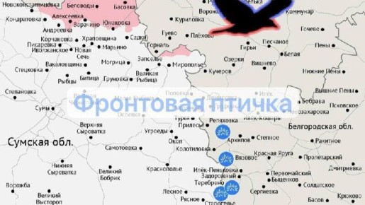 Сумское направление: ВСУ несут потери