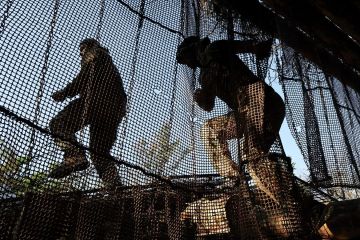 ��� �� ������ ������ ������ � ������� �������, ������� � "������"