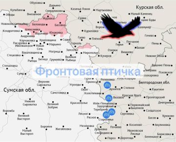 ������� �����������. ����� ������