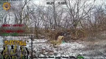 Апти Алаудинов: Уничтожение вражеского противотанкового гранатомёта