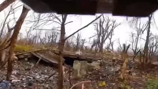 ��������� ���� "������" �������� ������ ������ � ������� ��� �� �������