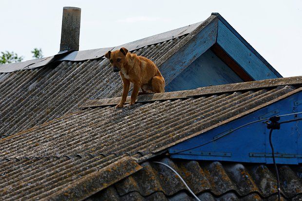 �����: ���� ������� �� ��� ��� � ������ ����� �� ������