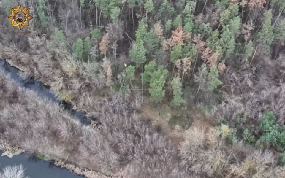 ���� ���������: ����������� ���������� ������� ����������